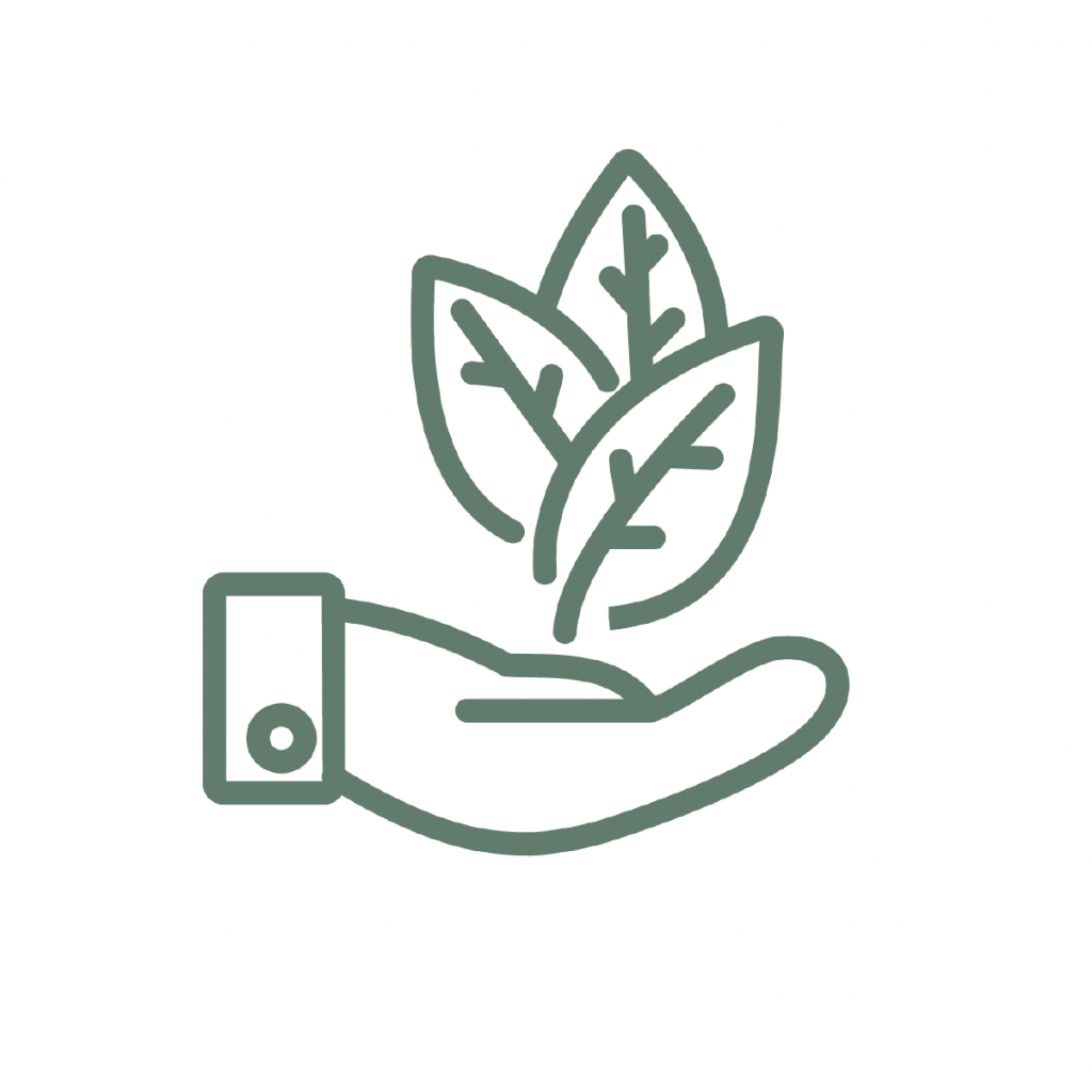 illustration representing sustainability and community showing a hand holding a plant representing sustainability and community
